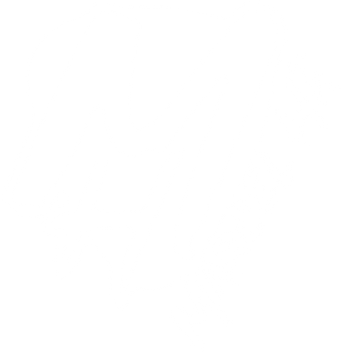Marcel Hä Shop